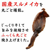 14g×1個 一杯の珍極)丸干し焼いか 0080