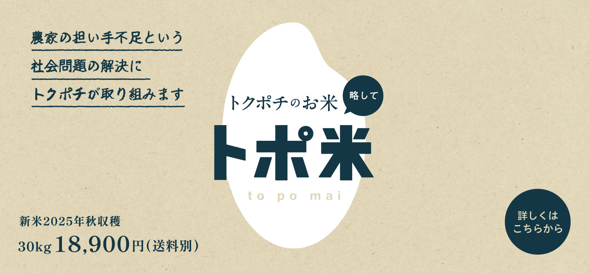 すべてのカテゴリ