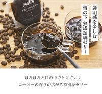 【2個セット】100g×2個 雪の下熟成珈琲ゼリー夜の雪 0019