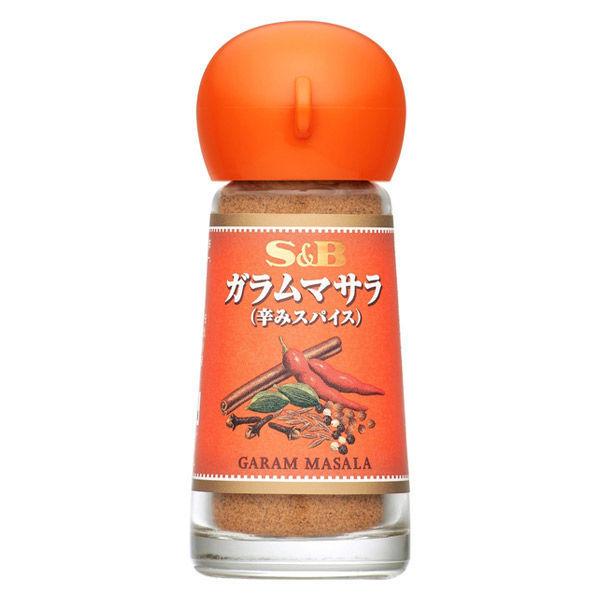 13g×1個 SB ガラムマサラ 0095