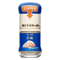 40g×1個 エスビー食品 ミル付き岩塩 0095