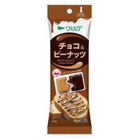 🔥残りわずか🔥【2個セット】52g（13g×4個）×2個 アヲハタ ヴェルデ チョコ&ピーナッツ 0095