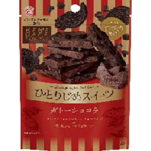 45g×1個 栄光堂ファクトリー ひとりじめスイーツ ガトーショコラ 0095