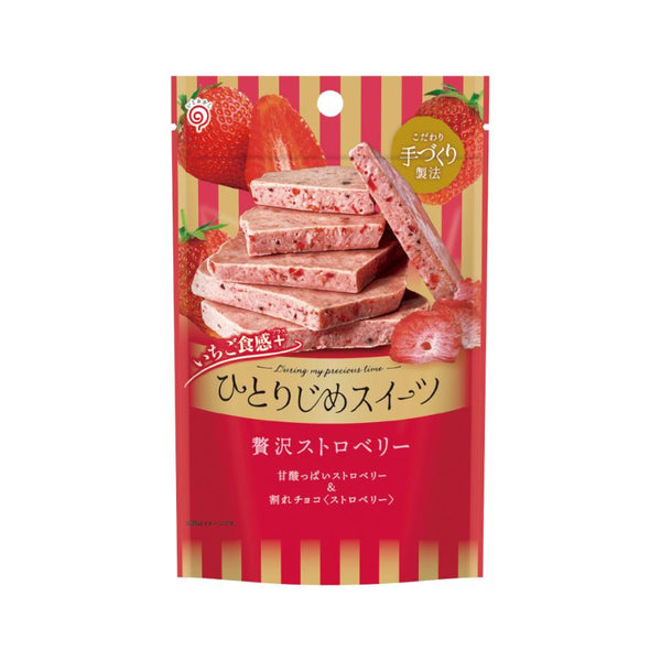 ⚠️残りわずか⚠️45g×1個 栄光堂ファクトリー ひとりじめスイーツ 贅沢ストロベリー