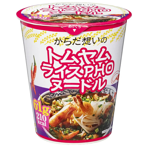 61g×1個 加藤産業 レヴクリエイト トムヤムライスフォーヌードル