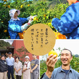 90g×1個 柑橘じゃばら飴 0020