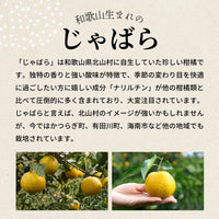 90g×1個 柑橘じゃばら飴 0020