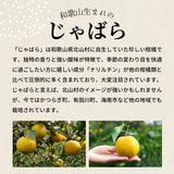 【2個セット】90g×2個 柑橘じゃばら飴 EX 0020