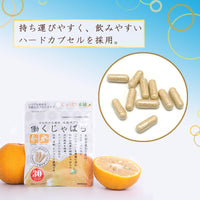 31.7g（352mg×90粒）×1個 働くじゃばら 30日分 0020