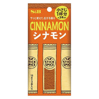 【2個セット】5.4g×2個 エスビー食品 スティックスパイス シナモン 0095