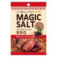 20g×1個 エスビー食品 袋入りマジックソルト バーベキュー
