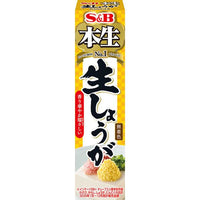 40g×1個 S&B 本生 生しょうが 0095