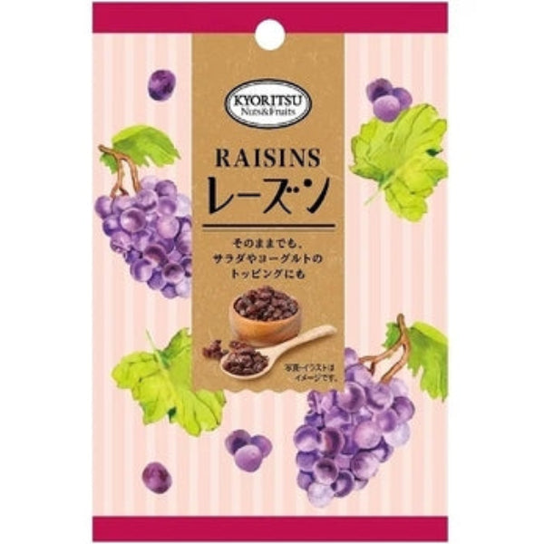 35g×1個 共立食品 スリムパック レーズン