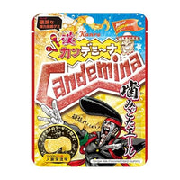 60g×1個 カンロ カンデミーナグミ噛みごたエール