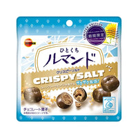 【2個セット】47g×2個 ブルボン ひとくちルマンド クリスピーソルト 0038