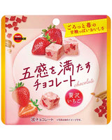 38g×1個 ブルボン 五感を満たすチョコレート贅沢いちご 0038