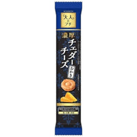 1個（10個入） ブルボン 大人のプチ 濃厚チェダーチーズおかき