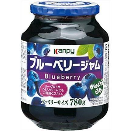 780g×1個 加藤産業 カンピー ブルーベリージャム 0095