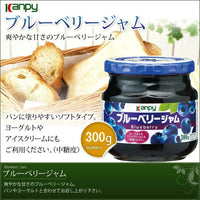 300g×1個 加藤産業 ブルーベリージャム 0095