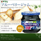 300g×1個 加藤産業 ブルーベリージャム 0095