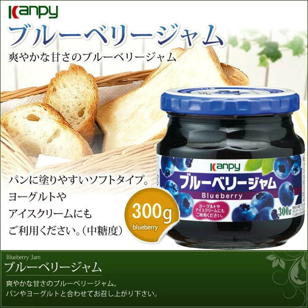 300g×1個 加藤産業 ブルーベリージャム 0095