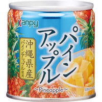 190g×1個 加藤産業 沖縄県産パインアップル 0095