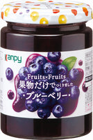 260g×1個 加藤産業 Fruits×Fruits ブルーベリー 0095