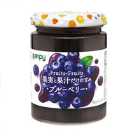 260g×1個 加藤産業 Fruits×Fruits ブルーベリー 0095