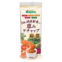 190g×1個 ナガノトマト 5種の国産野菜入り恵みケチャップ 0095