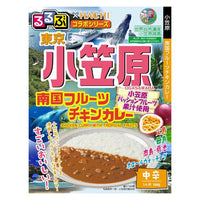 180g×1個 ハチ食品 るるぶ×Hachi 東京 小笠原 南国フルーツチキンカレー 中辛