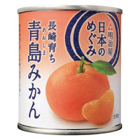 210g×1個 明治屋 日本のめぐみ 長崎育ち 青島みかん 0095