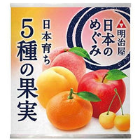 215g×1個 明治屋 日本のめぐみ 日本育ち 5種の果実 0095