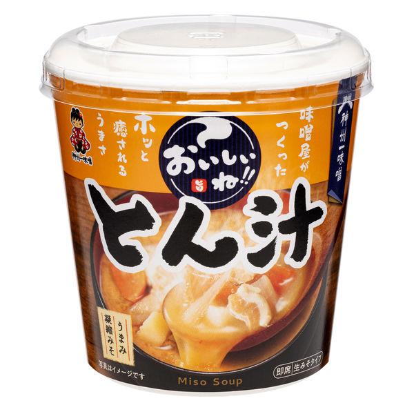 64g×1個 神州一味噌 おいしいね!! とん汁 0095