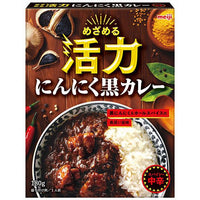 180g×1個 明治 めざめる活力 にんにく黒カレー