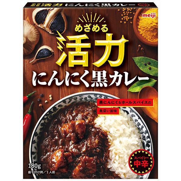 180g×1個 明治 めざめる活力 にんにく黒カレー