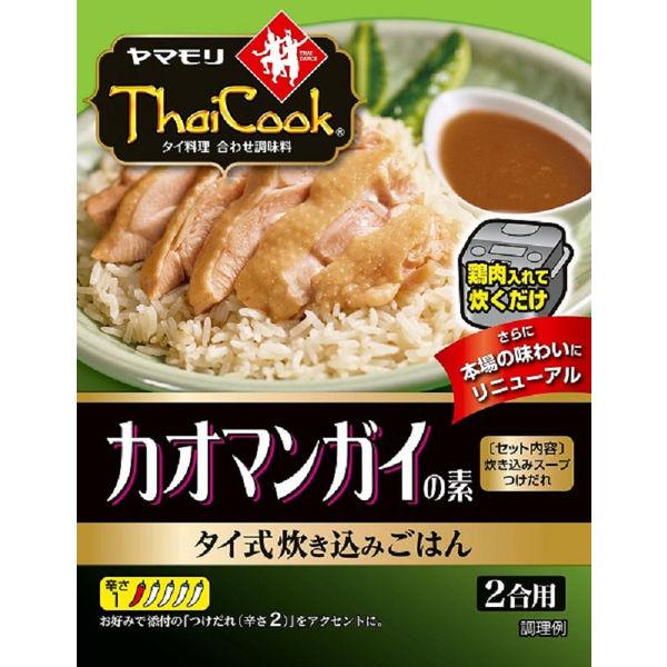 92g×1個 ヤマモリ タイクック カオマンガイの素