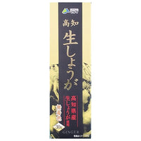 30g×1個 マル井 高知 生しょうが 0095