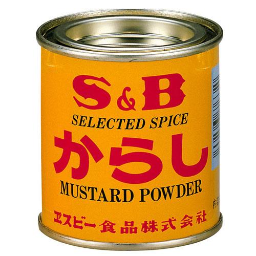 35g×1個 エスビー食品 からし 0095