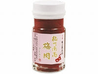 60g×1個 木村九商店 味の顔見世 紀州南高梅肉 0095