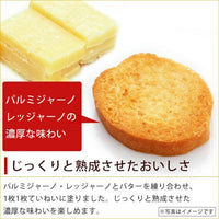 30g×1個 ブルスケッタ パルミジャーノレッジャーノ 0080
