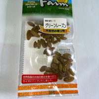 40g×1個 ホクセイ食産 グリーンレーズン 0095