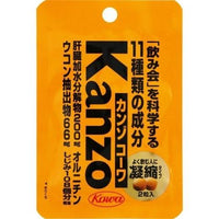【2個セット】2個（2粒入） 興和 カンゾコーワ 0095