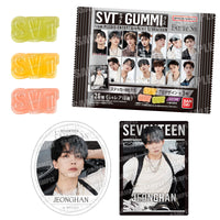 28g×1個 バンダイ SVT GUMMI From PLEDIS ENTERTAINMENT SEVENTEEN 2001