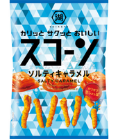 73g×1個 湖池屋 スコーン ソルティキャラメル 0038